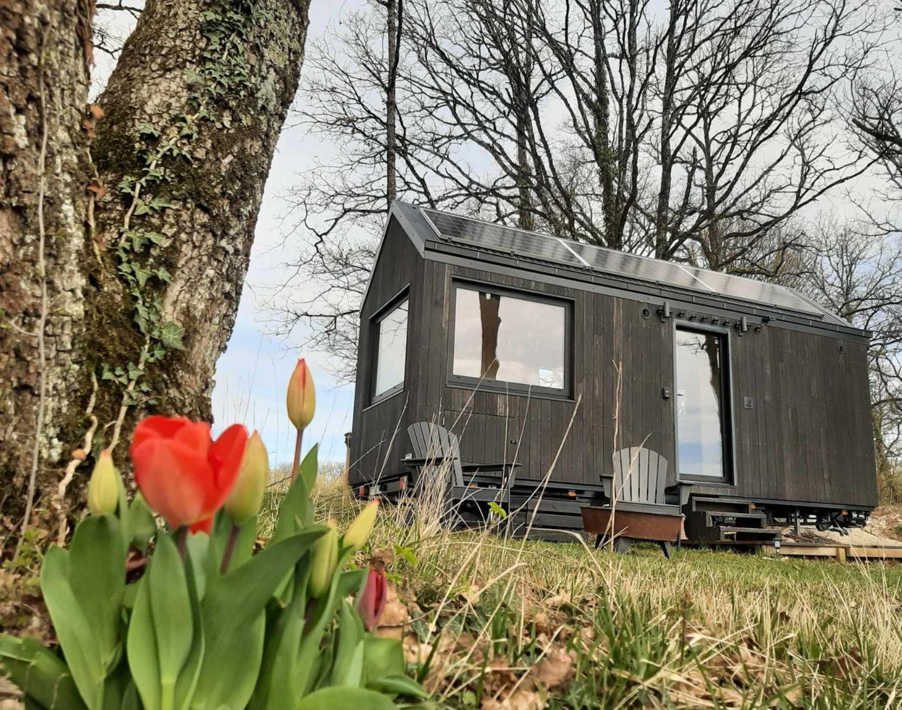 L'Envolee Ecolodge, Tiny House Au Coeur Des Vignes Loches-sur-Ource Buitenkant foto